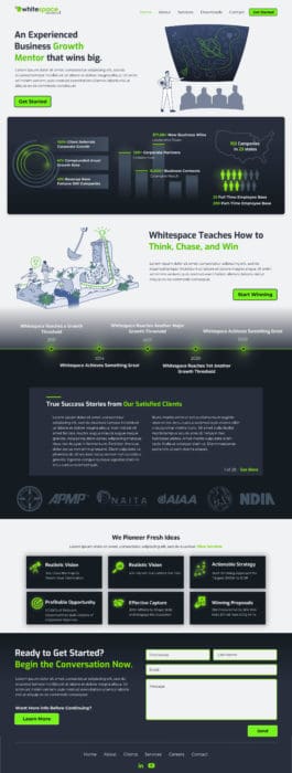 Business Development Mentor Website Design